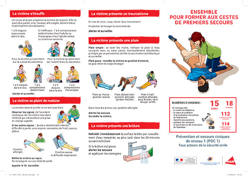 Fiche D Inscription Formation Aux Premiers Secours Pse 1