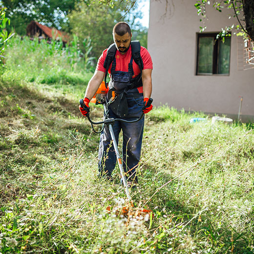 Comment bien débroussailler pour prévenir le risque d’incendie ?